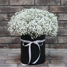 Цветочная композиция из Гипсофила в шляпной коробке в Александрове