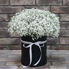 Цветочная композиция из Гипсофила в шляпной коробке в Александрове