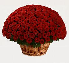 Премиум букет из: Розы в Александрове